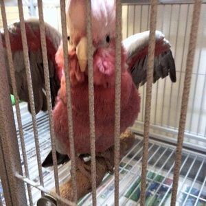 Meet your Posher, Sheree